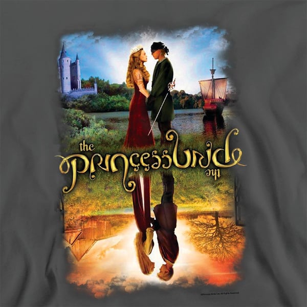 The Princess Bride Unisex Adult Poster Reflection Sweatshirt