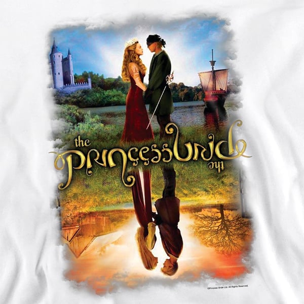 The Princess Bride Unisex Adult Poster Reflection Sweatshirt