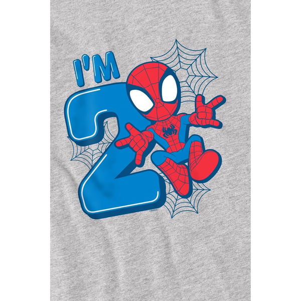 Spider-Man Childrens/Kids Cute Spidey 2nd Birthday T-Shirt