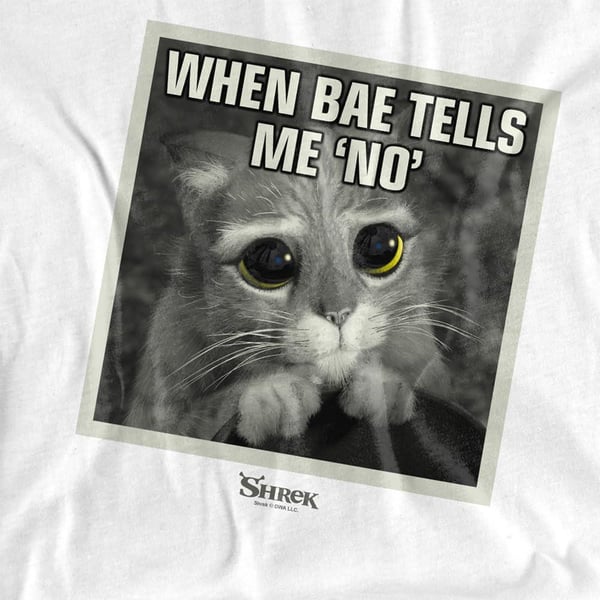 Shrek Herr Insta Mästerkatten Meme T-shirt
