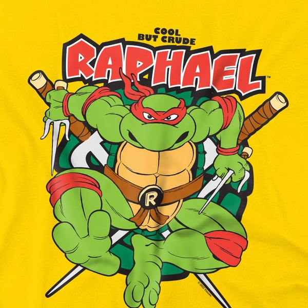 Teini-ikäiset mutanttininjakilpikonnat miesten Cool But Crude Raphael T-paita