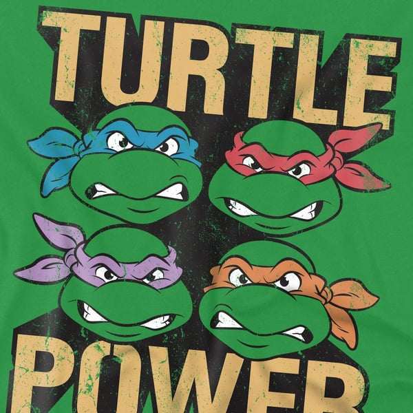Teenage Mutant Ninja Turtles Mens Turtle Power T-Shirt