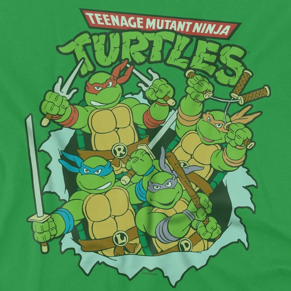 Teenage Mutant Ninja Turtles Mens Retro Group T-Shirt