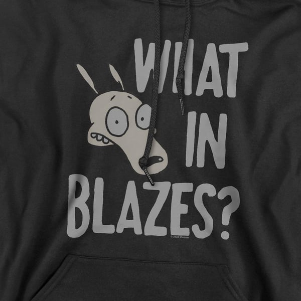 Rocko´s Modern Life Mens What In Blazes? Hoodie