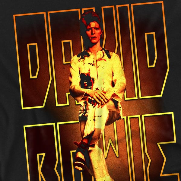 David Bowie Unisex aikuisten Perched T-paita