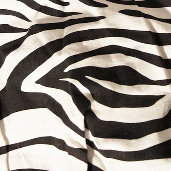 Luna Cove Zebra Tote Bag