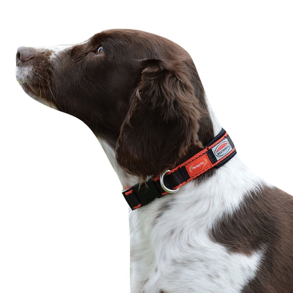 Weatherbeeta Therapy-Tec Hundhalsband