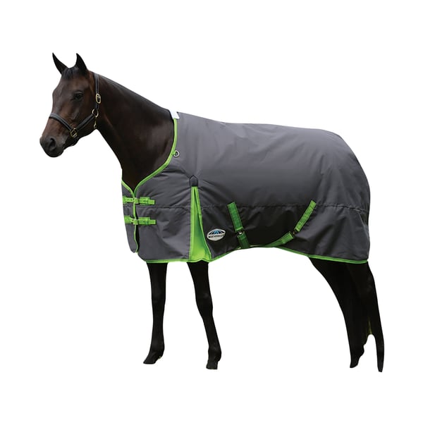 Weatherbeeta Comfitec Essential Standard-Neck Midweight Horse Turnout Rug