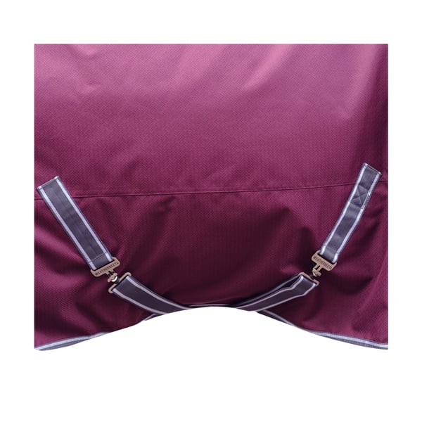 Weatherbeeta Comfitec Plus Dynamic II Standard-Neck Medium Lightweight Horse Turnout Rug