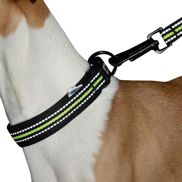 Weatherbeeta Reflekterande Hundhalsband
