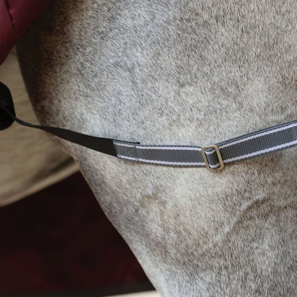 Weatherbeeta Comfitec Plus Dynamic II Standard-Neck 220g Horse Turnout Rug