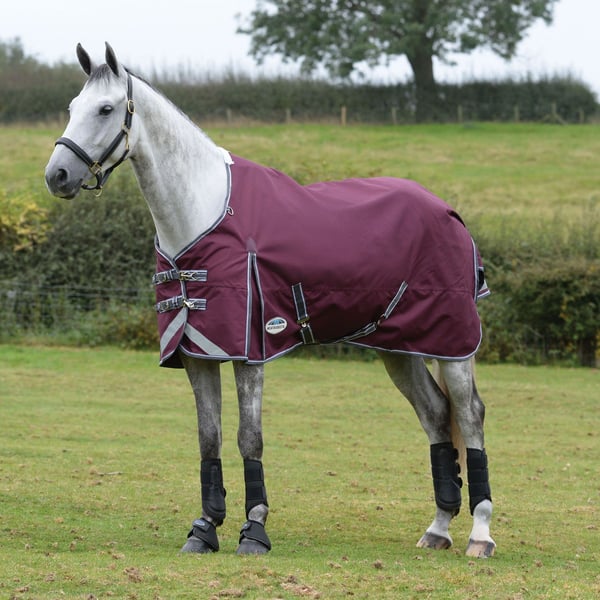 Weatherbeeta Comfitec Plus Dynamic II Standard-Neck 220 g dækken til heste