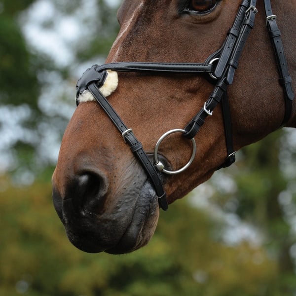 Collegiate Comfitec Grackle Leather Horse Bridle