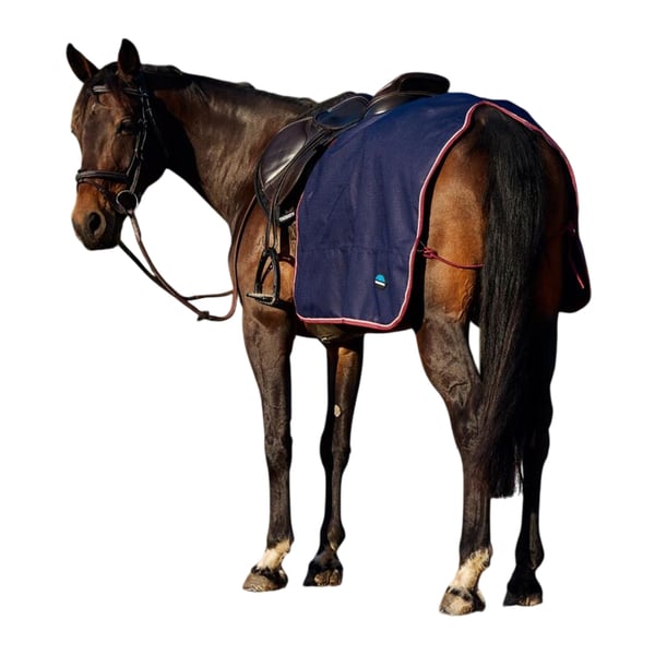 Weatherbeeta Essential Fleece Lined Horse Quarter Sheet