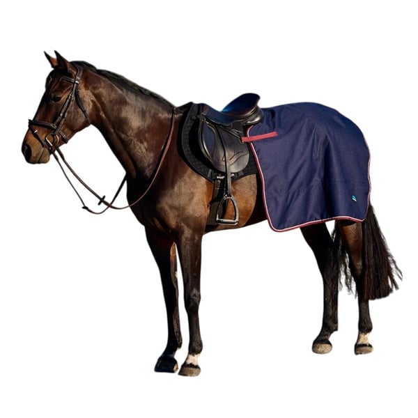 Weatherbeeta Essential Fleece Lined Horse Quarter Sheet