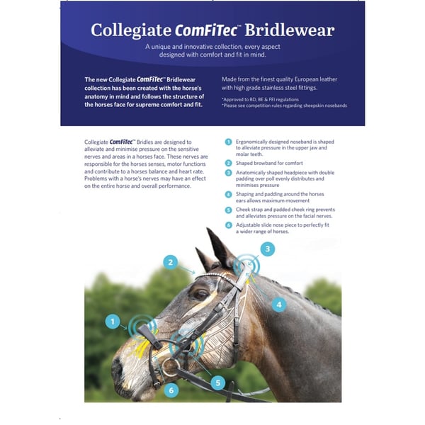 Collegiate Comfitec Leather Training Bridle