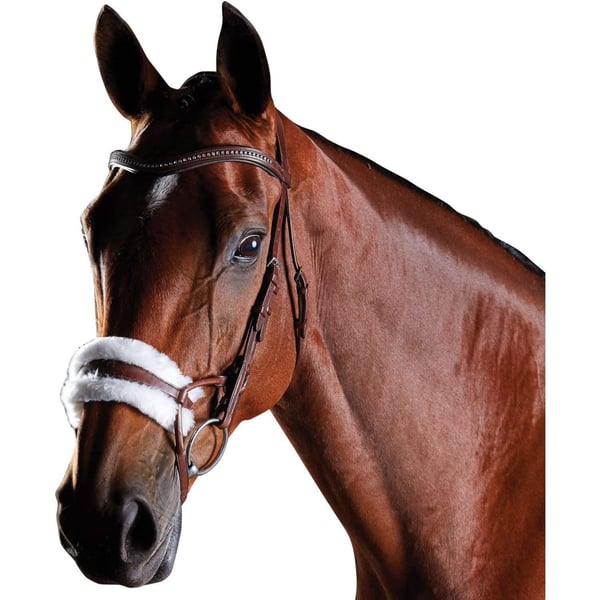 Collegiate Comfitec Leather Training Bridle