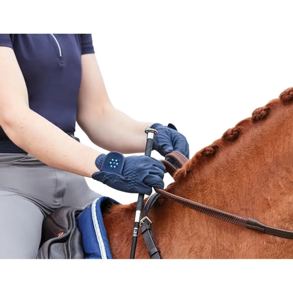 Dublin Unisex Adult Bling Everyday Riding Gloves