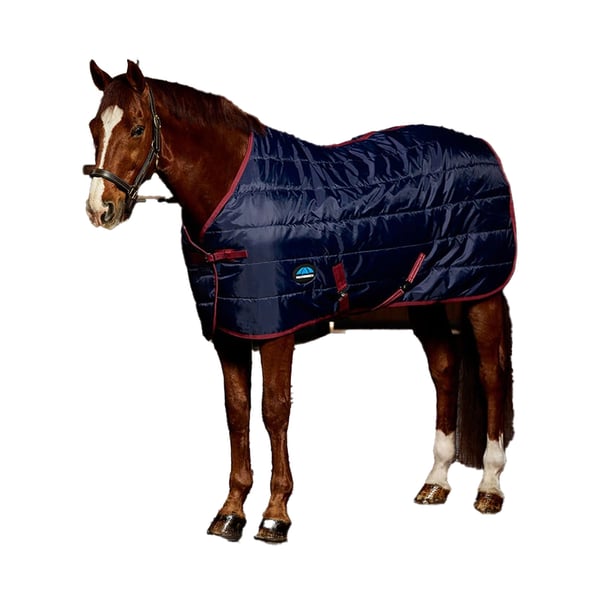 Weatherbeeta Comfitec Standard-Neck Channel Quilt 220g Horse Stable Rug Weatherbeeta Comfitec Standard-Neck Channel Quilt 220g Horse Stable Rug