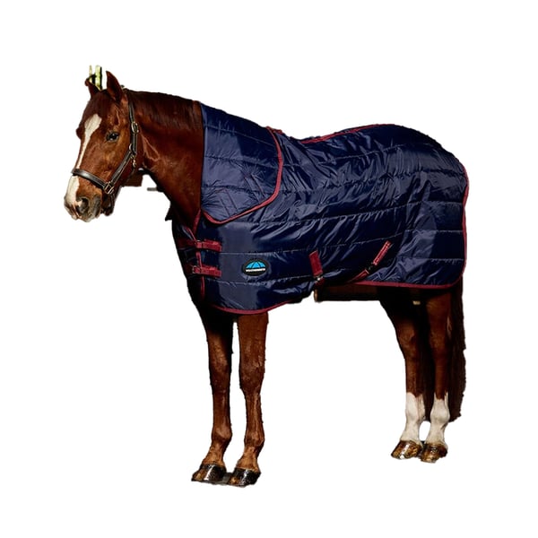 Weatherbeeta Combo Neck Channel Quilt 220g Horse Stable Rug & Neck Weatherbeeta Combo Neck Channel Quilt 220g Horse Stable Rug & Neck