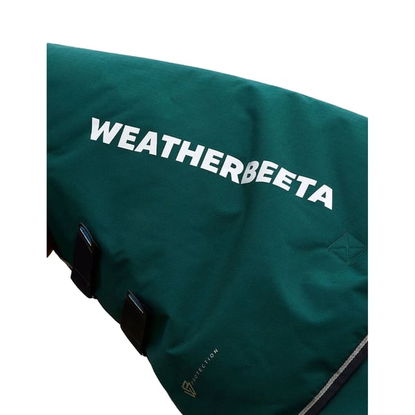 Weatherbeeta Comfitec Plus Dynamic High-Neck 220g Horse Turnout Rug
