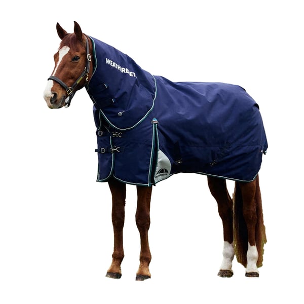 Weatherbeeta Comfitec Plus Dynamic High-Neck 100g Horse Turnout Rug