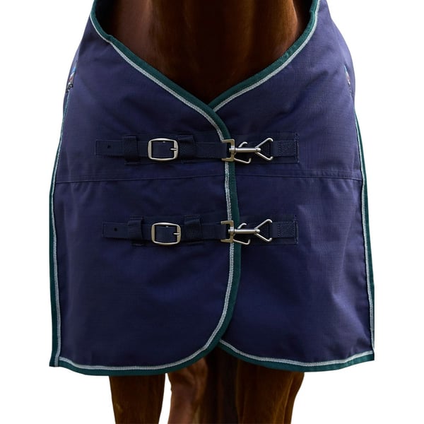 Weatherbeeta Comfitec Plus Dynamic Standard-Neck 220g Horse Turnout Rug