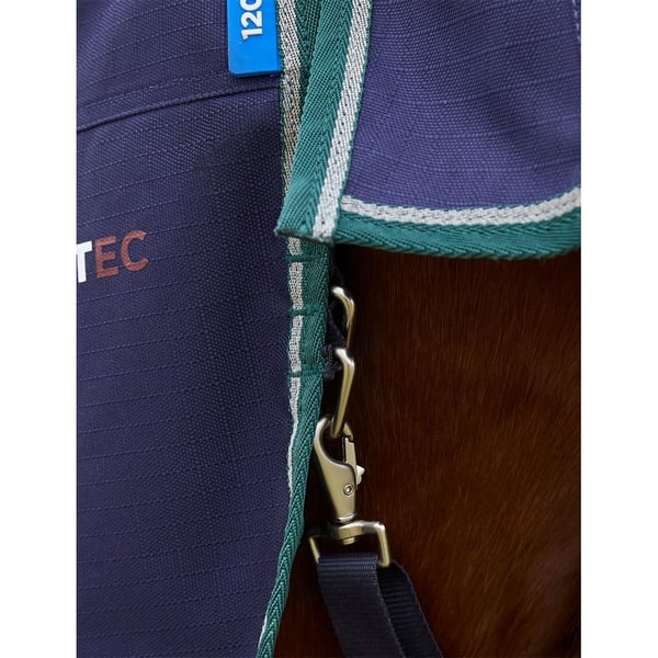 Weatherbeeta Comfitec Plus Dynamic Standard-Neck 220g Horse Turnout Rug