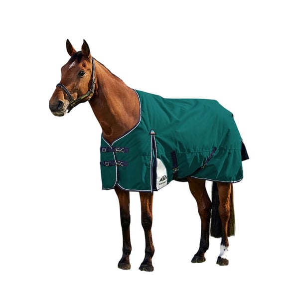 Weatherbeeta Comfitec Plus Dynamic Standard-Neck 220g Horse Turnout Rug