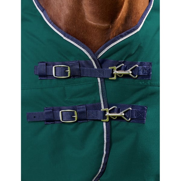 Weatherbeeta Comfitec Plus Dynamic Standard-Neck 220g Horse Turnout Rug