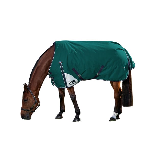 Weatherbeeta Comfitec Plus Dynamic Standard-Neck 220g Horse Turnout Rug