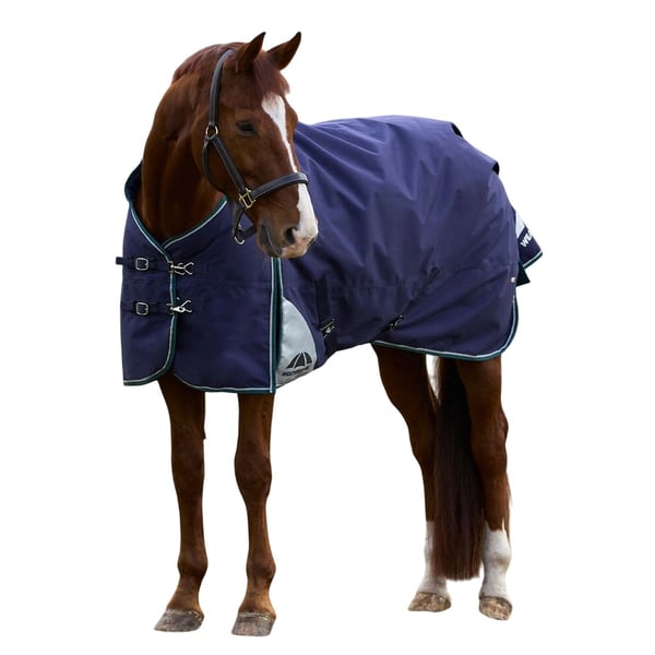 Weatherbeeta Comfitec Plus Dynamic Standard-Neck Logo -hevosen ulkoloimi