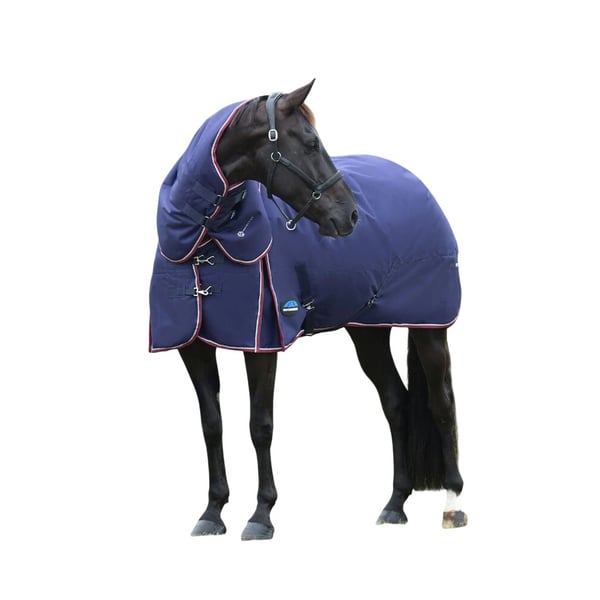 Weatherbeeta Comfitec Essential Detachable Neck 220g Horse Turnout Rug
