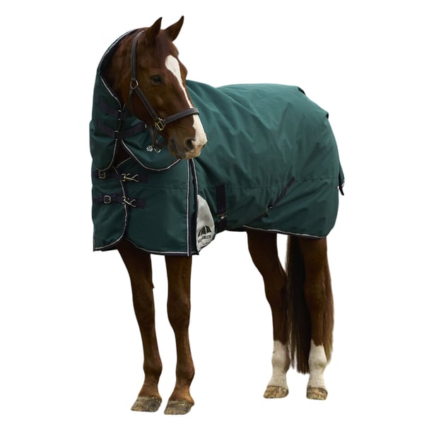 Weatherbeeta Comfitec Plus Dynamic Detachable Neck Logo 100g Horse Turnout Rug
