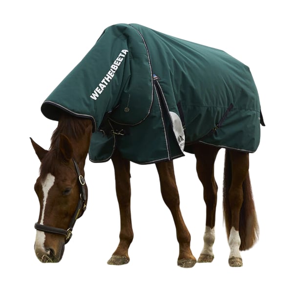 Weatherbeeta Comfitec Plus Dynamic Detachable Neck Logo 100g Horse Turnout Rug