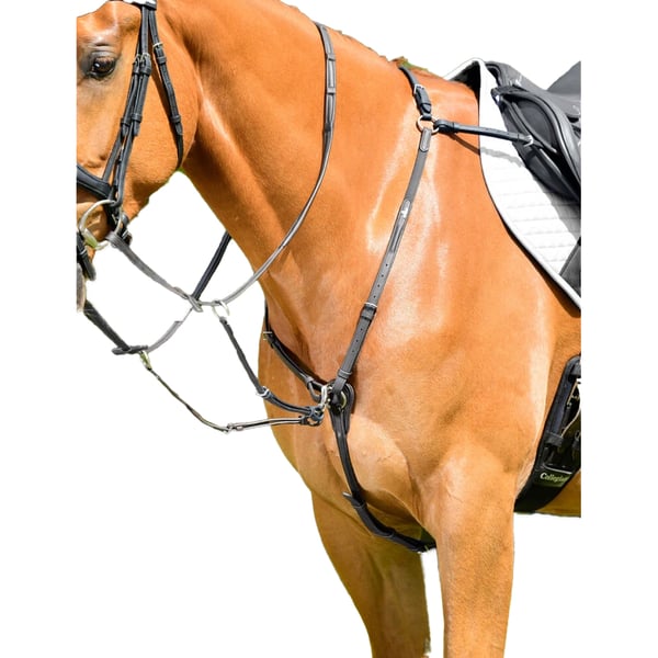 Collegiate ComFiTec Opulux Padded Leather Breastplate With Running Martingale