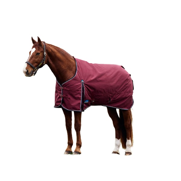 Weatherbeeta Comfitec Prelim Standard-Neck Plain 220g Horse Turnout Rug Weatherbeeta Comfitec Prelim Standard-Neck Plain 220g Horse Turnout Rug