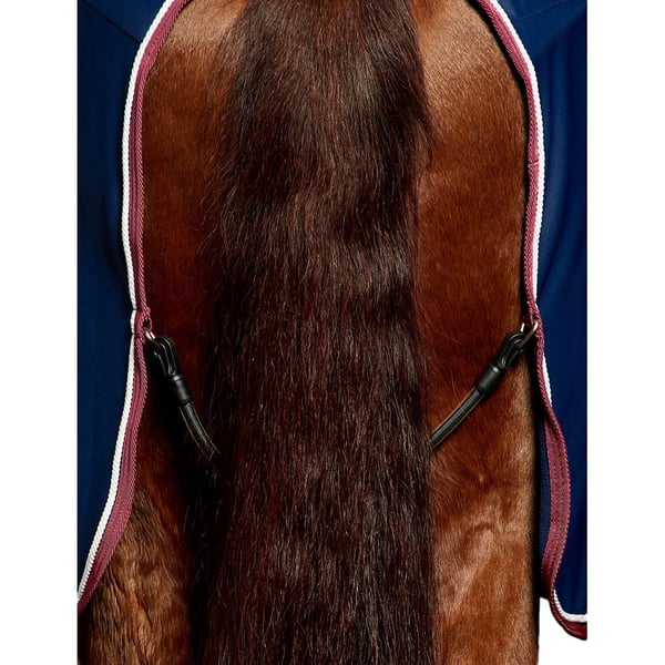 Weatherbeeta Opulence Standard-Neck Show Sheet