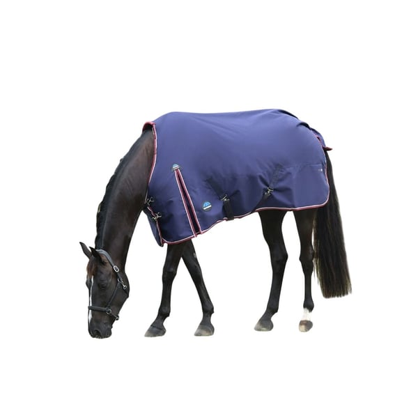 Weatherbeeta Comfitec Essential 220g Horse Turnout Rug
