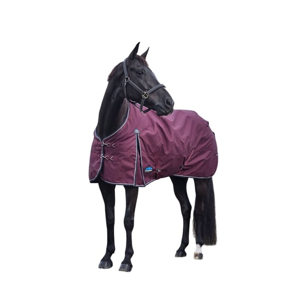 Weatherbeeta Comfitec Essential 220g Horse Turnout Rug
