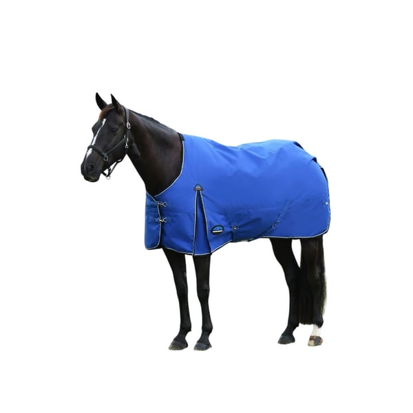 Weatherbeeta Comfitec Essential 220g Horse Turnout Rug