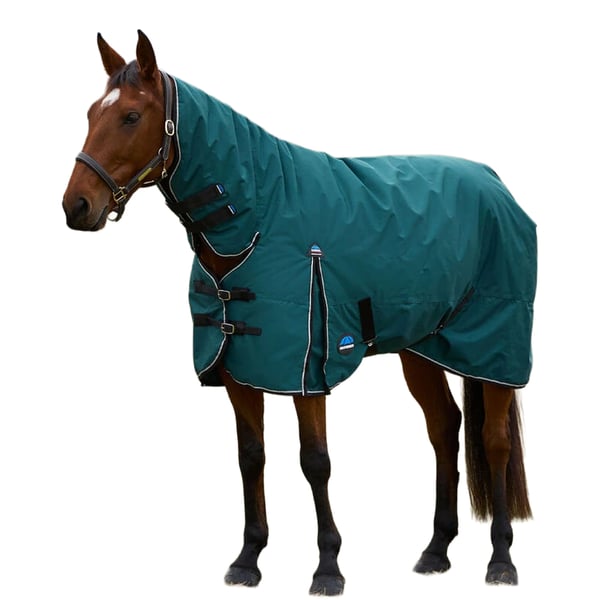 Weatherbeeta Comfitec Classic Combo Neck 220g Horse Turnout Rug Weatherbeeta Comfitec Classic Combo Neck 220g Horse Turnout Rug