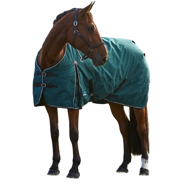Weatherbeeta Comfitec Classic Combo Neck 50g Horse Turnout Rug