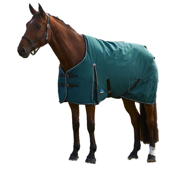 Weatherbeeta Comfitec Classic Combo Neck 50g Horse Turnout Rug