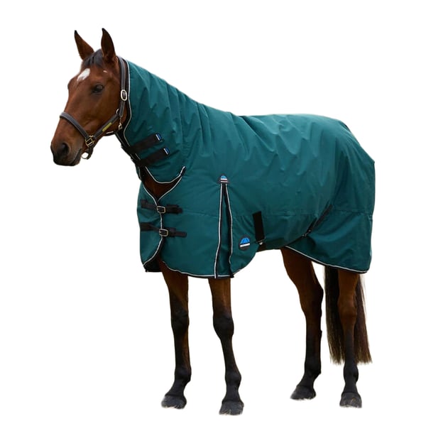 Weatherbeeta Comfitec Classic Combo Neck 360g Horse Turnout Rug Weatherbeeta Comfitec Classic Combo Neck 360g Horse Turnout Rug