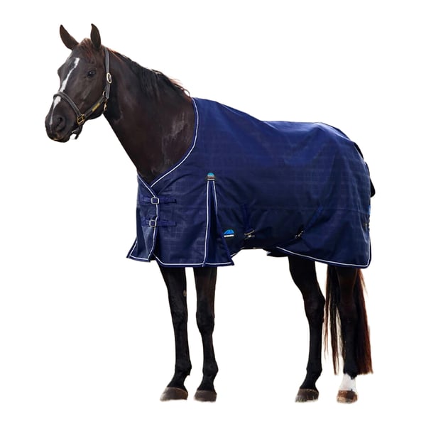 Weatherbeeta Comfitec Prelim Standard-Neck Plaid 220g Horse Turnout Rug Weatherbeeta Comfitec Prelim Standard-Neck Plaid 220g Horse Turnout Rug