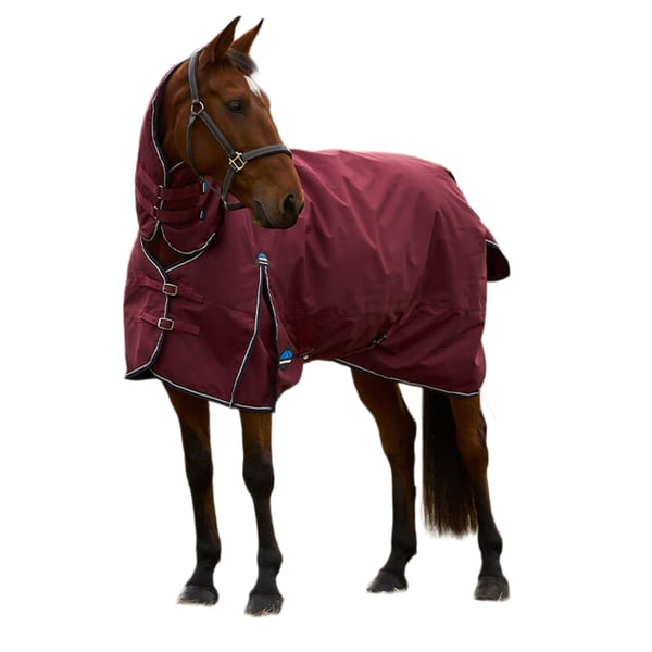 Weatherbeeta Comfitec Prelim Combo Neck Horse Turnout Rug