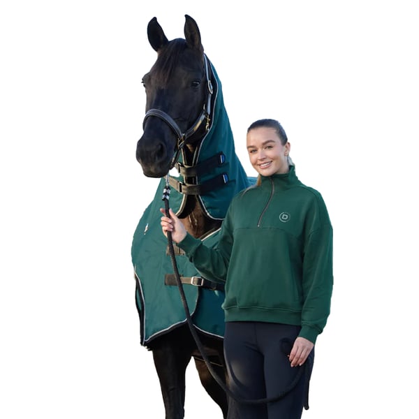Dublin Womens/Ladies Quarter Zip Fleece Top