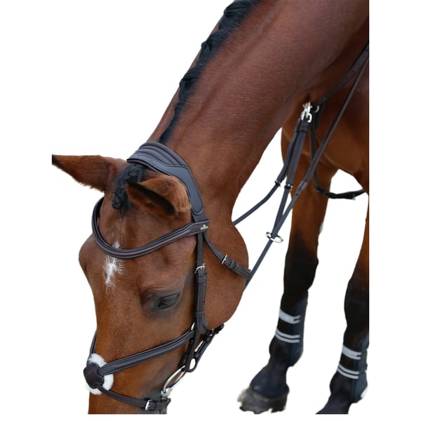 Collegiate Leather Horse Grackle Bridle
