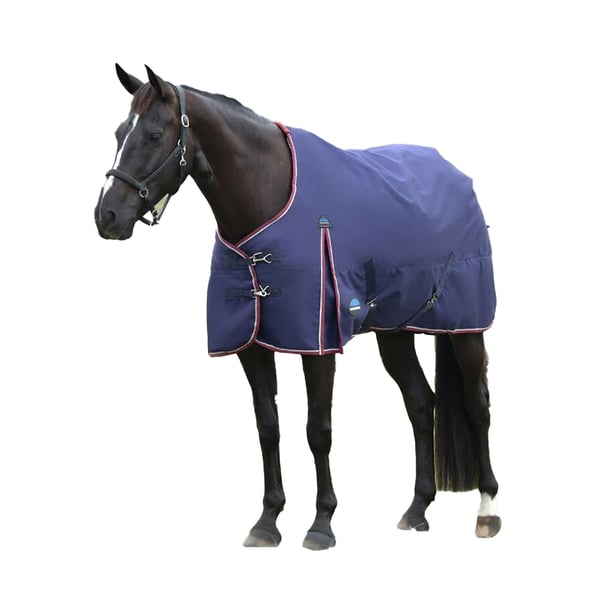 Weatherbeeta Comfitec Essential Standard-Neck Horse Turnout Rug